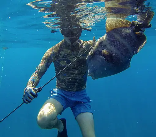 spearfishing-in-key-west